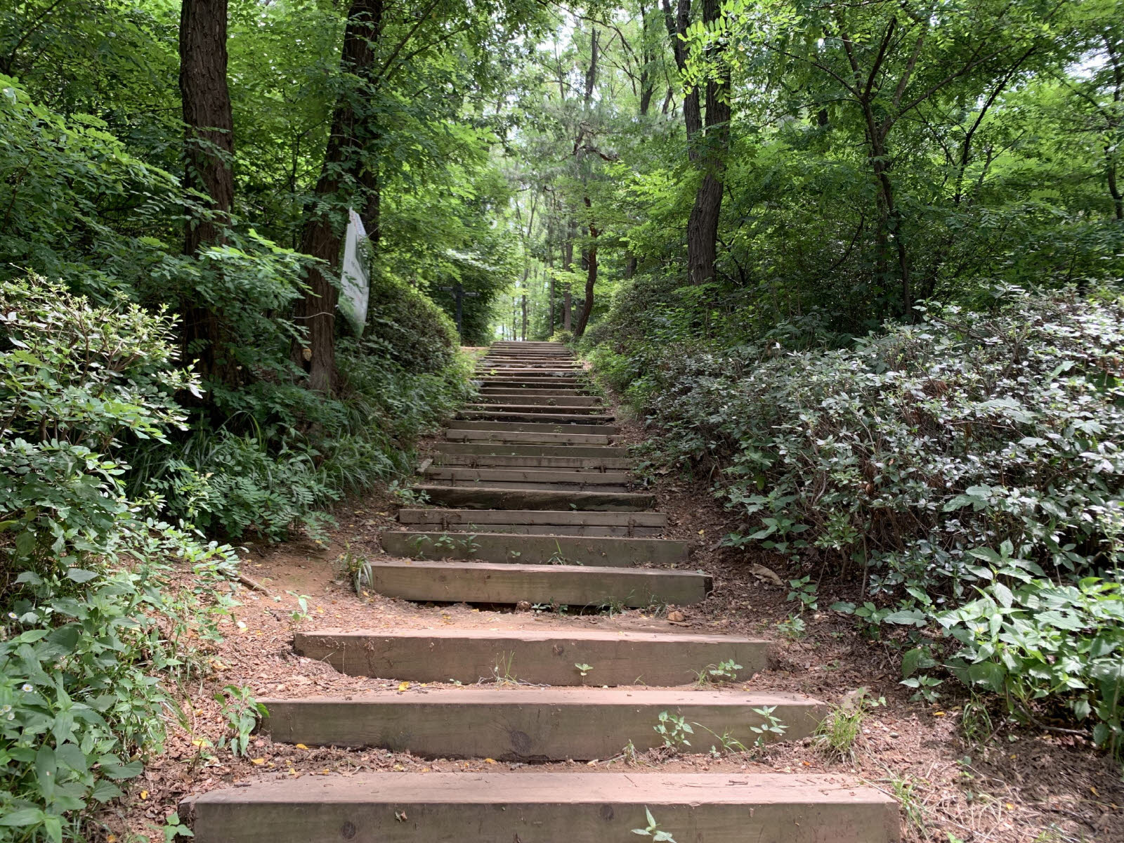 너희의 손에 피가 가득함이라(사 1:15)