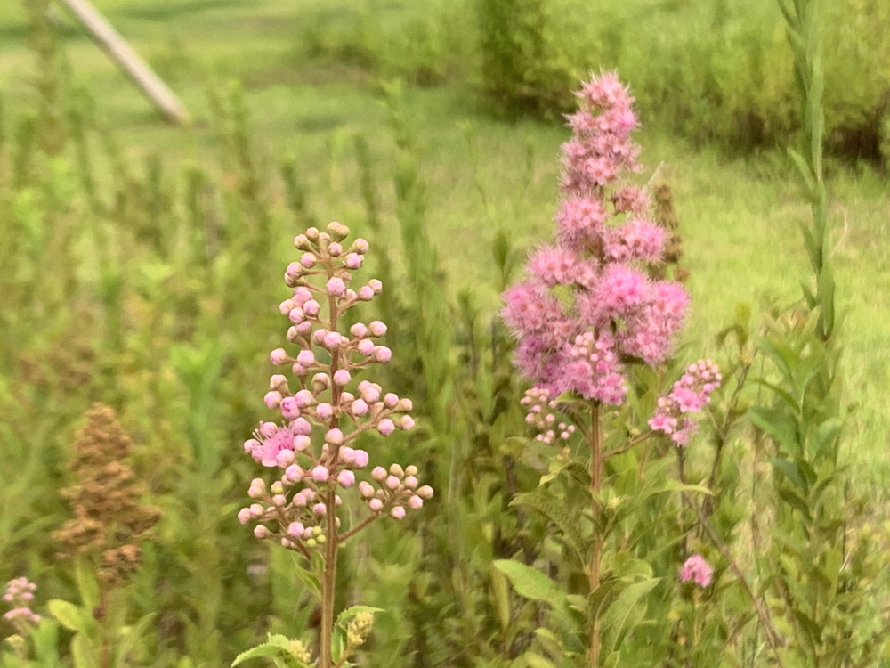 내 손으로(사 10:14)