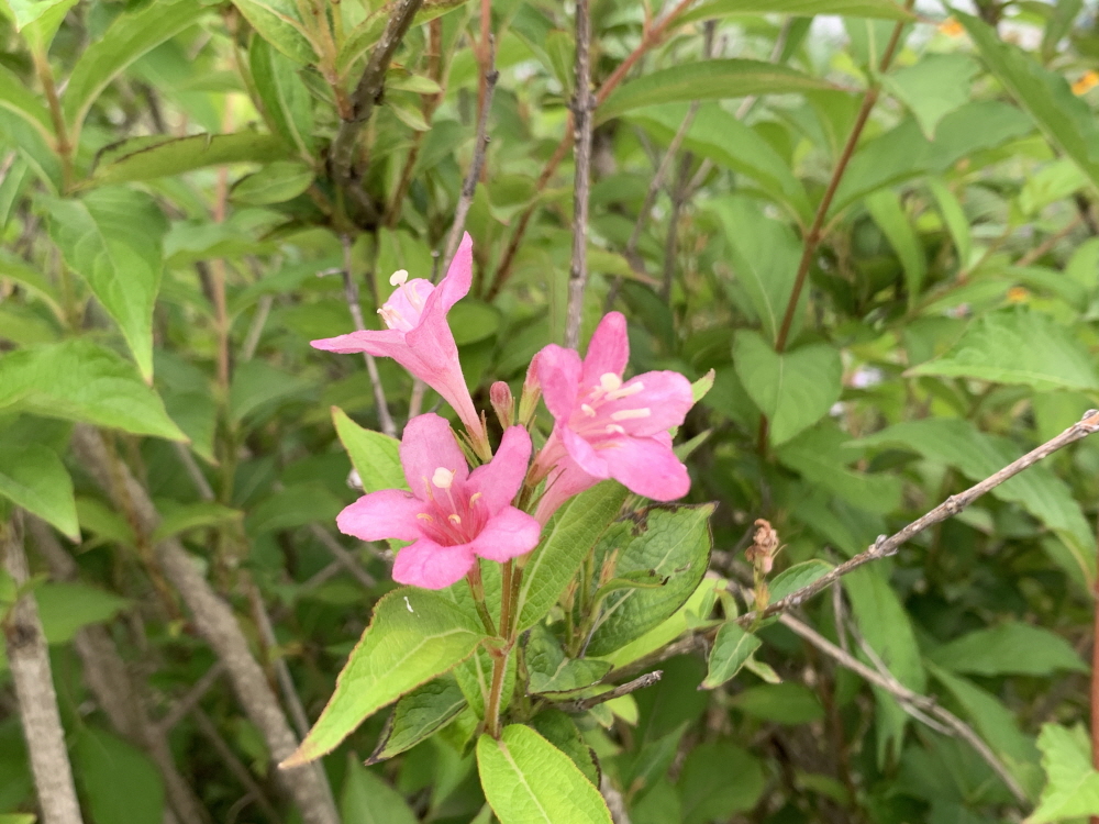 불의한 법령을 만들며(10:1-2)