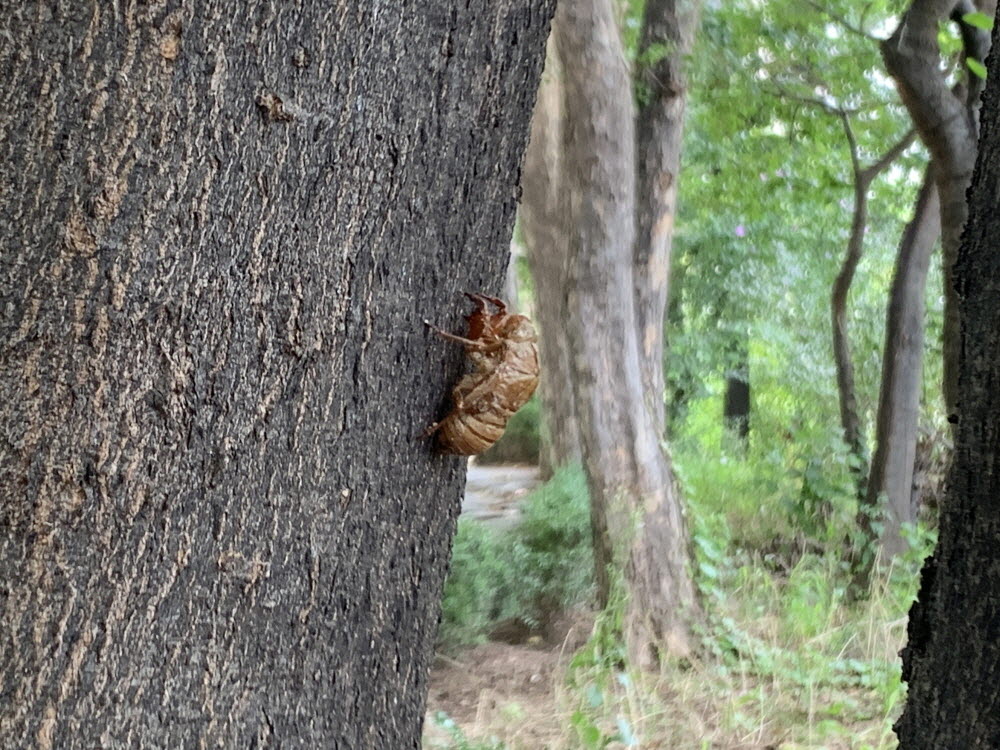 내가 끊으리라(사 13:11)