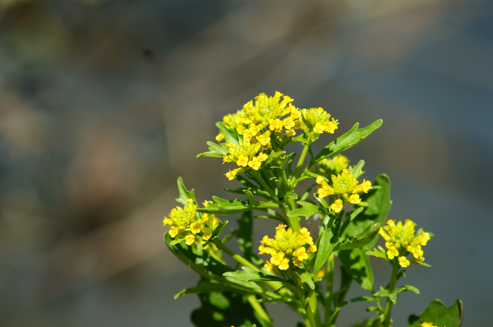 내가 믿는 것은 무엇인가?(사 20:6)