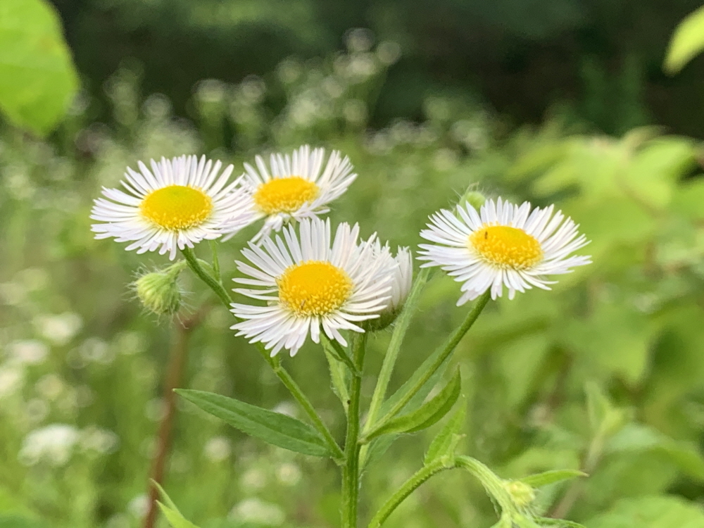 치실지라도 고치실 것이라(사 19:22)