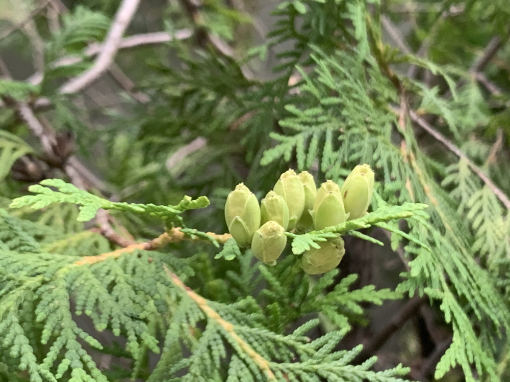 애굽인이 애굽인을 치리니(사 19:2)
