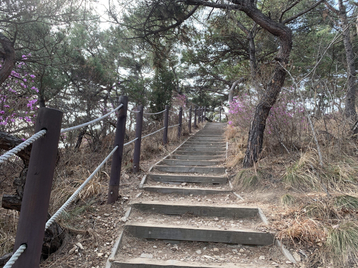 습관을 따라(눅 22:39)