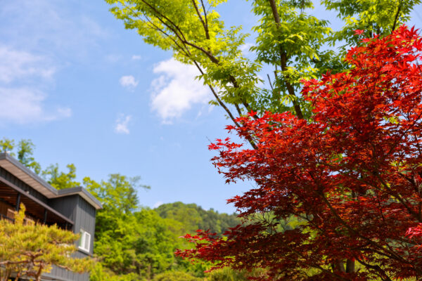 220513_가족힐링캠프_103