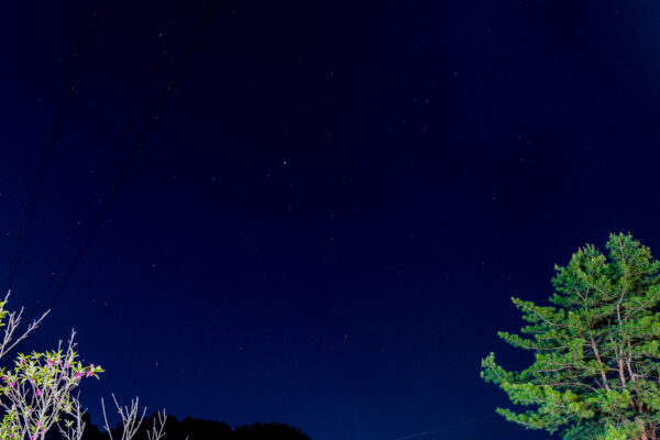 220513_가족힐링캠프_27