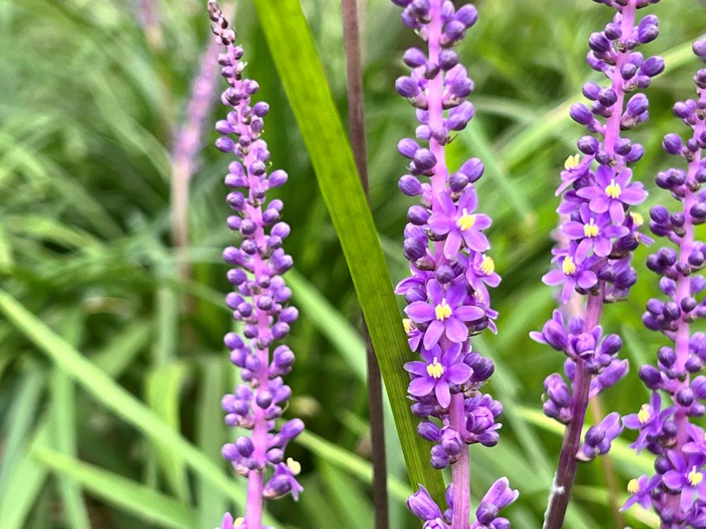 우리 앞에 당한 경주(히 12:1)