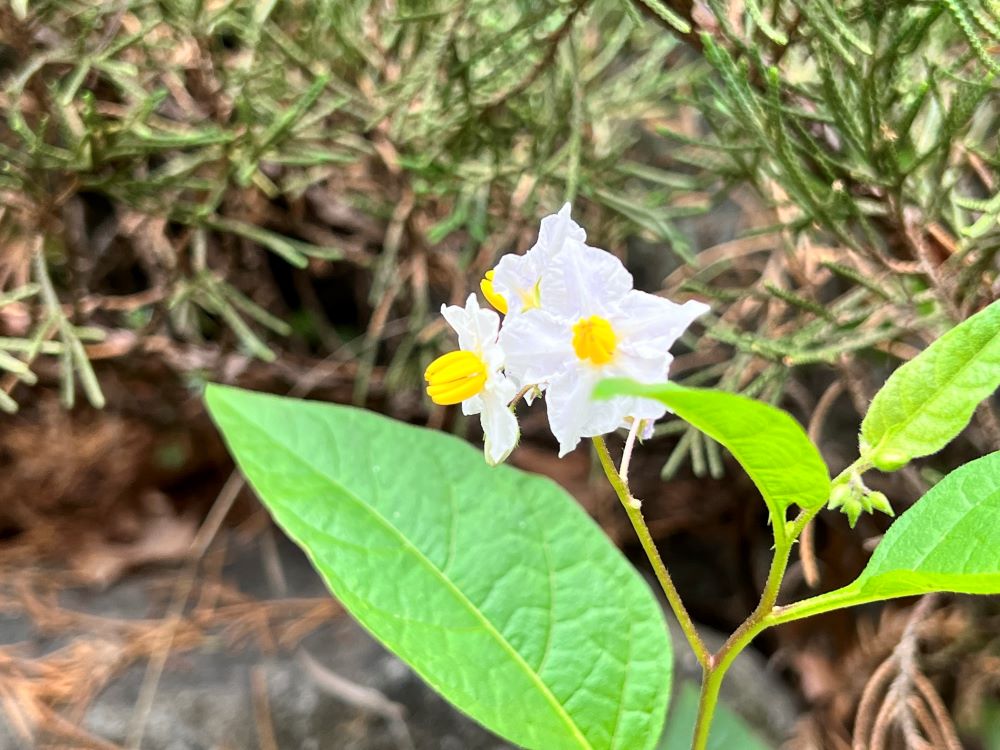 무엇을 더 좋아하는가? (히 11:25)