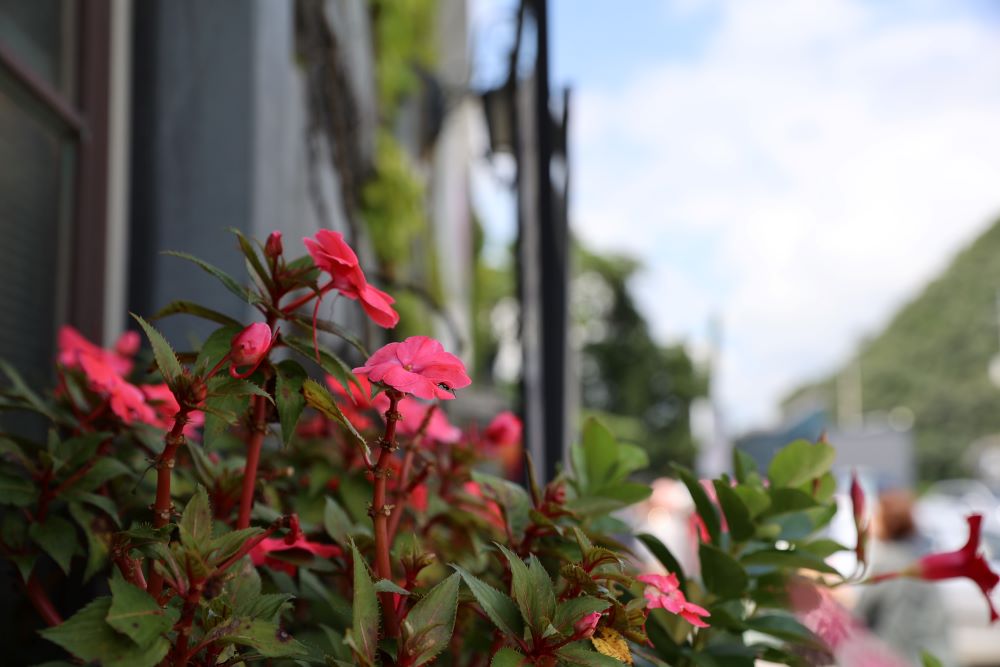 소와 양의 십일조(레 27:32)