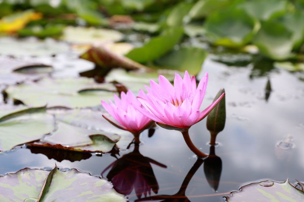 참다 못하여 (살전 3:5)