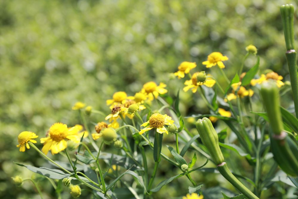 끊임없는 감사 (살전 2:13)