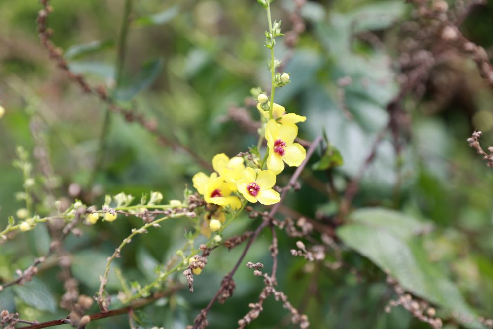 신앙과 일 (살후 3:10-12)