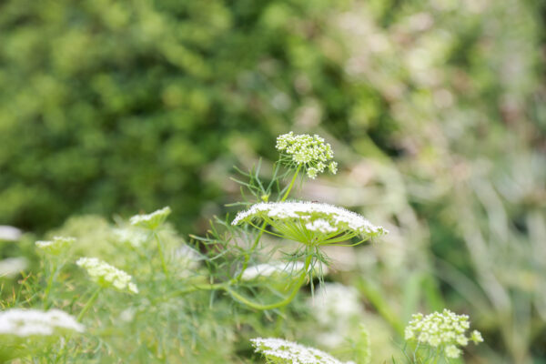 220820_목자 예비목자 야유회_02