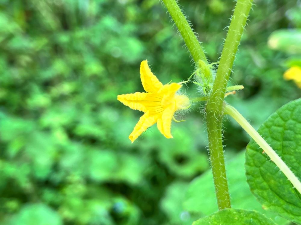 은혜를 주신 이유(엡 3:8)