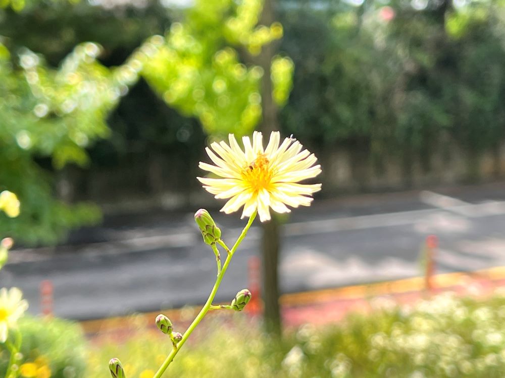 이름을 주신 아버지(엡 3:15)