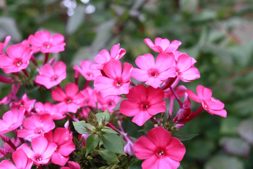 성령 안에서 기도하라(엡 6:18)