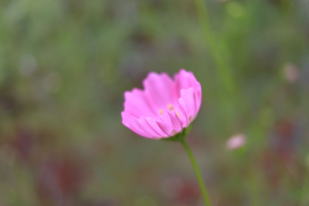 하늘의 상전(엡 6:9)