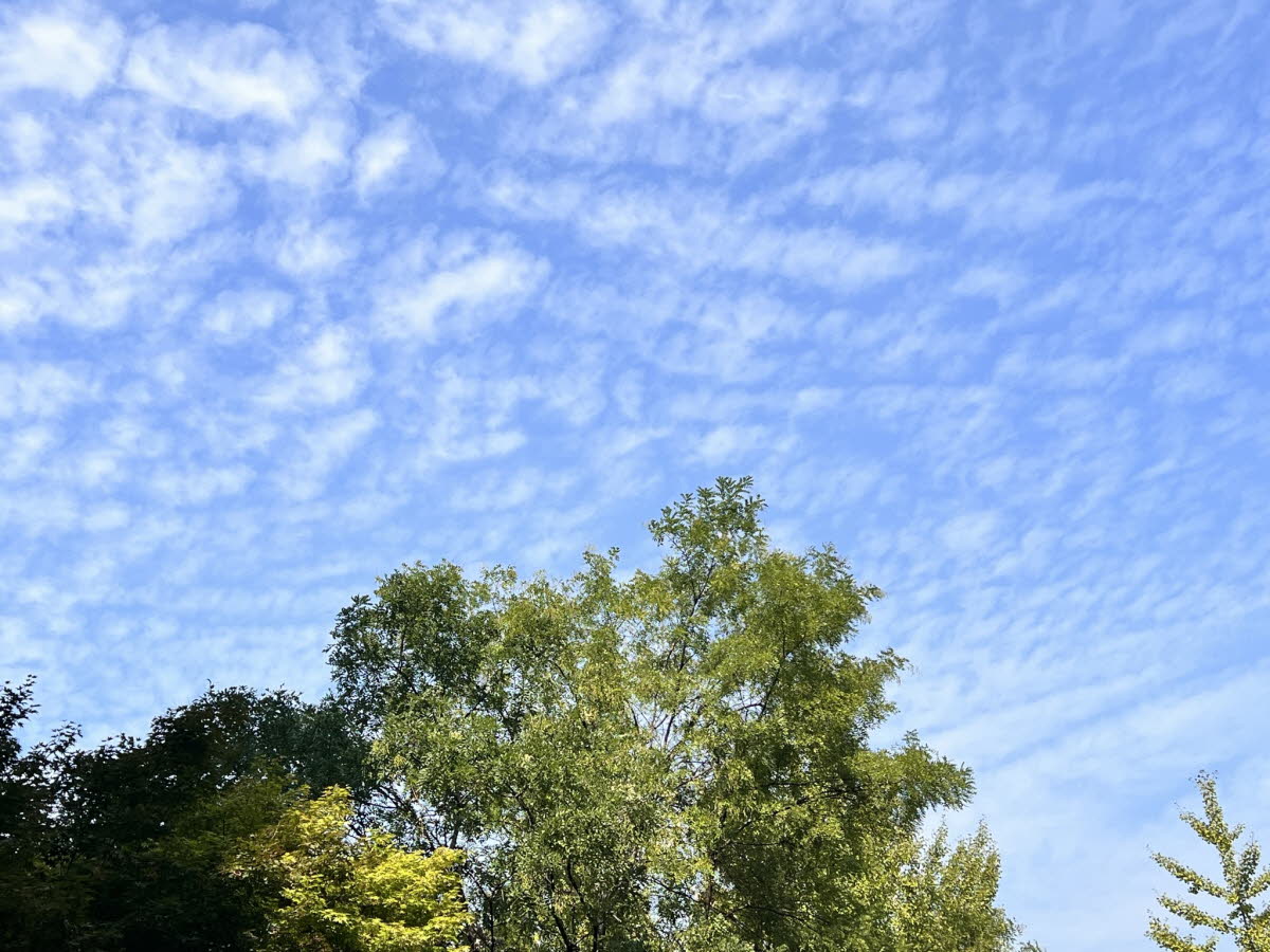 무엇을 위해 담대해야 하는가? (삼하 10:12)