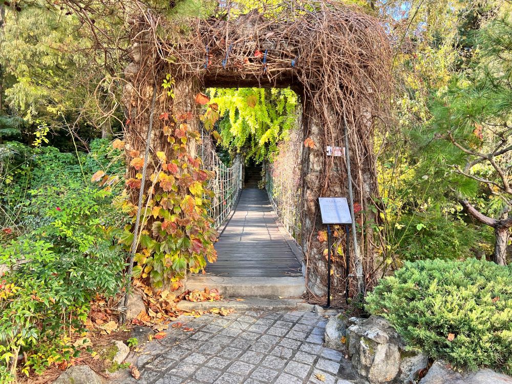 지혜와 능력을 주시는 하나님(단2:23)