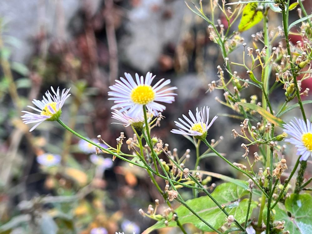 수고의 몫과 즐거움(전 2:10)