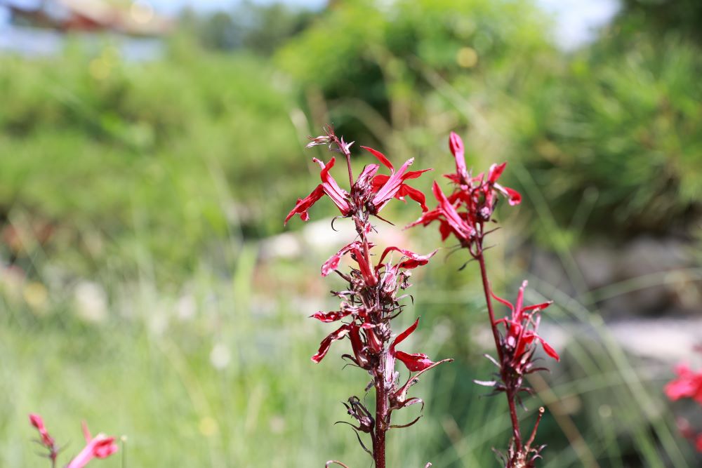 지혜가 많으면 번뇌도 많으니(전 1:18)