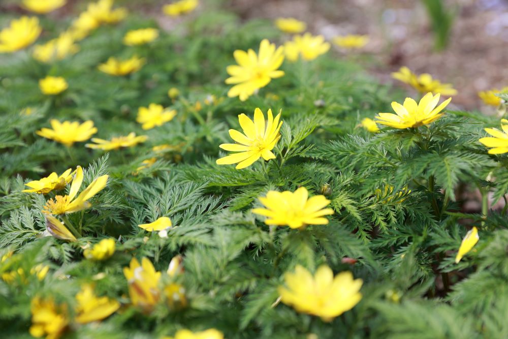 신들의 영이 있음으로(단 5:14)