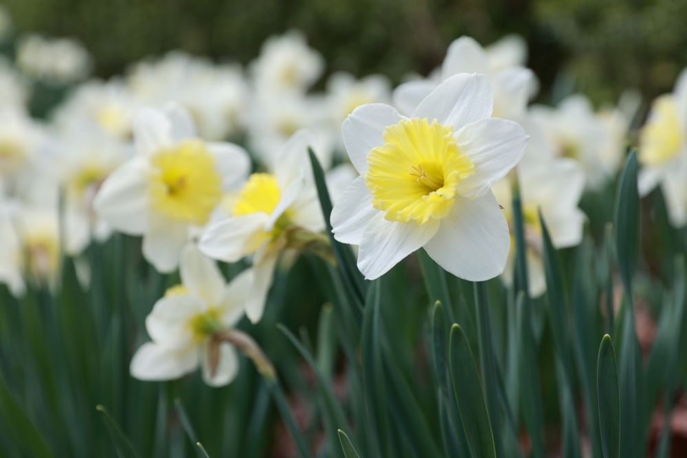 열두 달이 지난 후에(단 4:29)