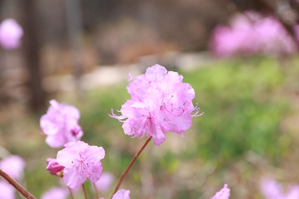 옛적부터 항상 계신 이 (단 7:9-10)