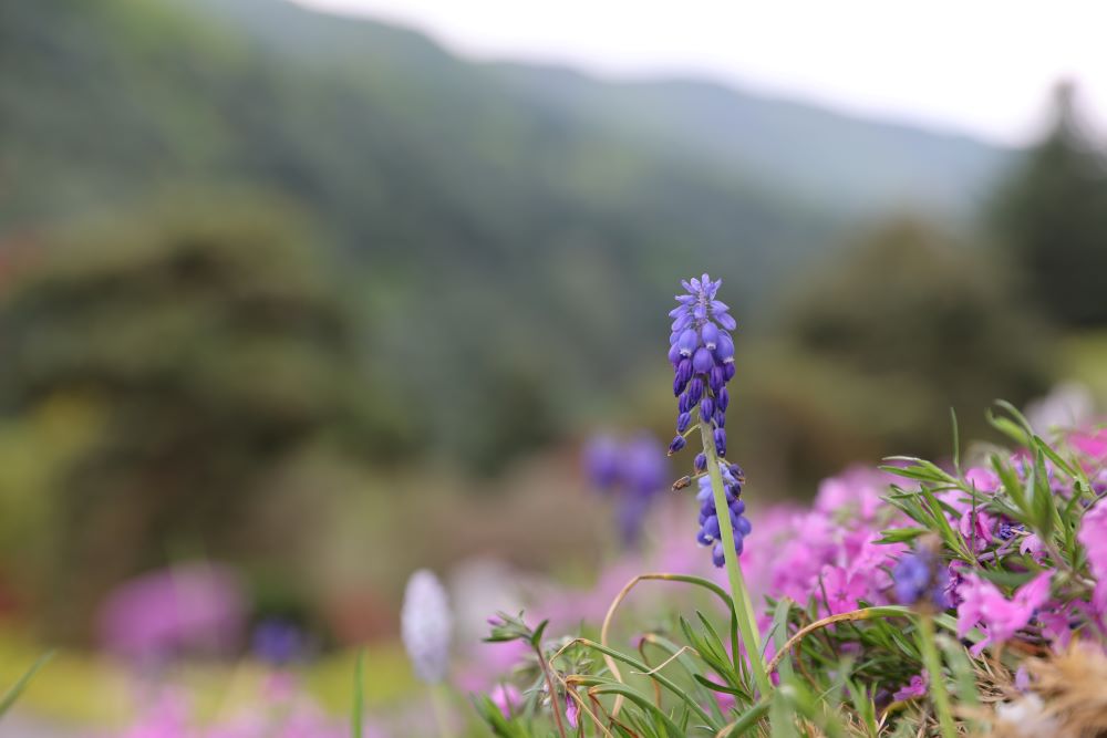 큰 환상을 볼 때에(단 10:7-9)