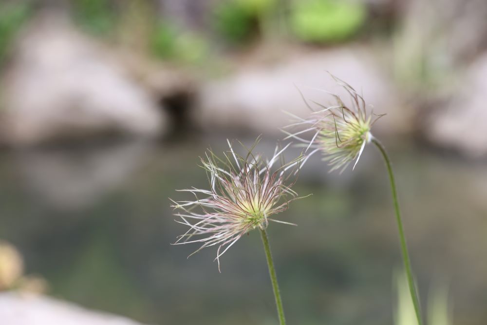 곧 힘이 나서 (단 10:18-19)