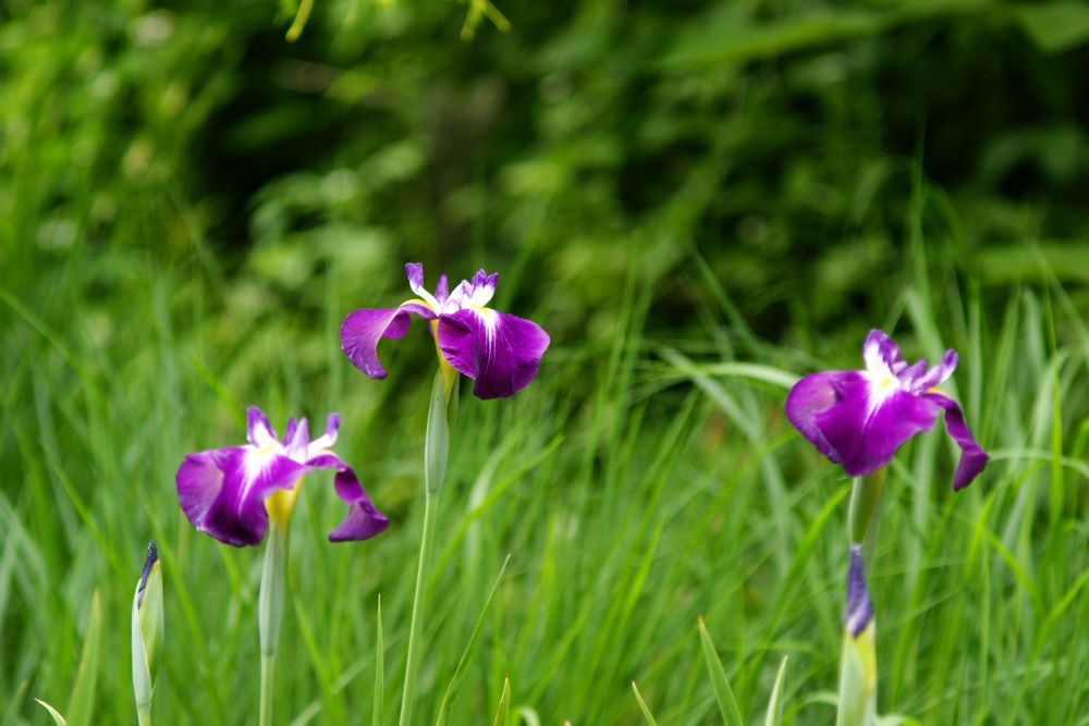 하나님과 사귐(요일 1:6)