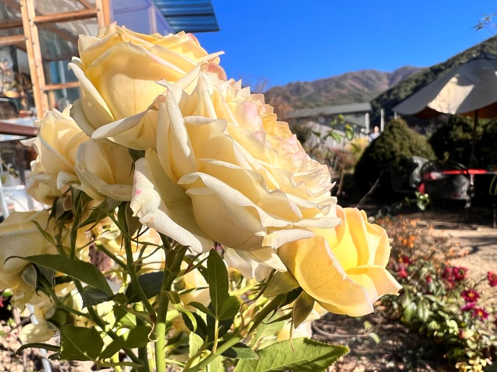 하나님의 손 (전 2:24)