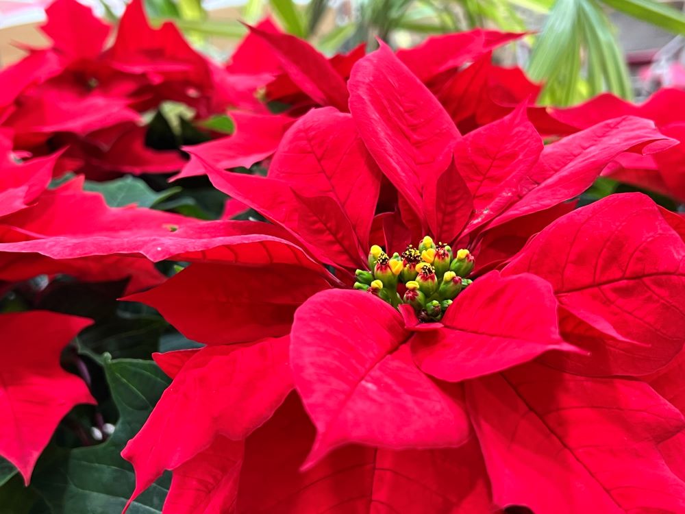 하나님의 선물(전 3:13)