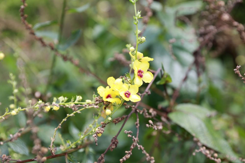 하나님의 선물(전 5:19)