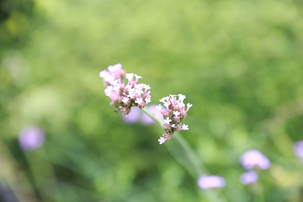 누리는 것이 행복이다(전 6:2)