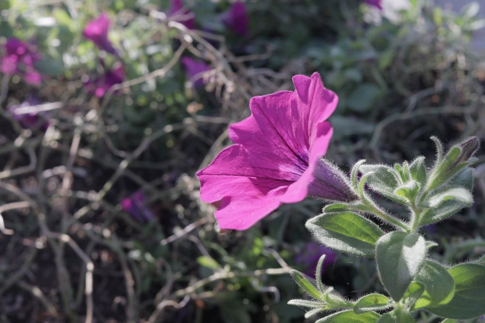 적은 우매(전 10:1)