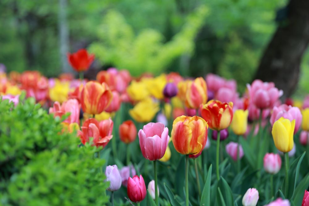 심중에라도, 침실에서라도(전 10:20)