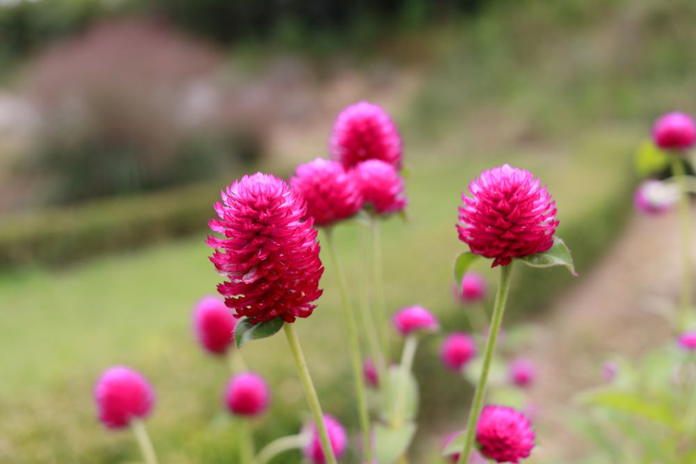 악한 일에 대한 징벌(전 8:11)