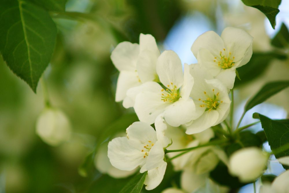 광야 생존법(민 9:22)