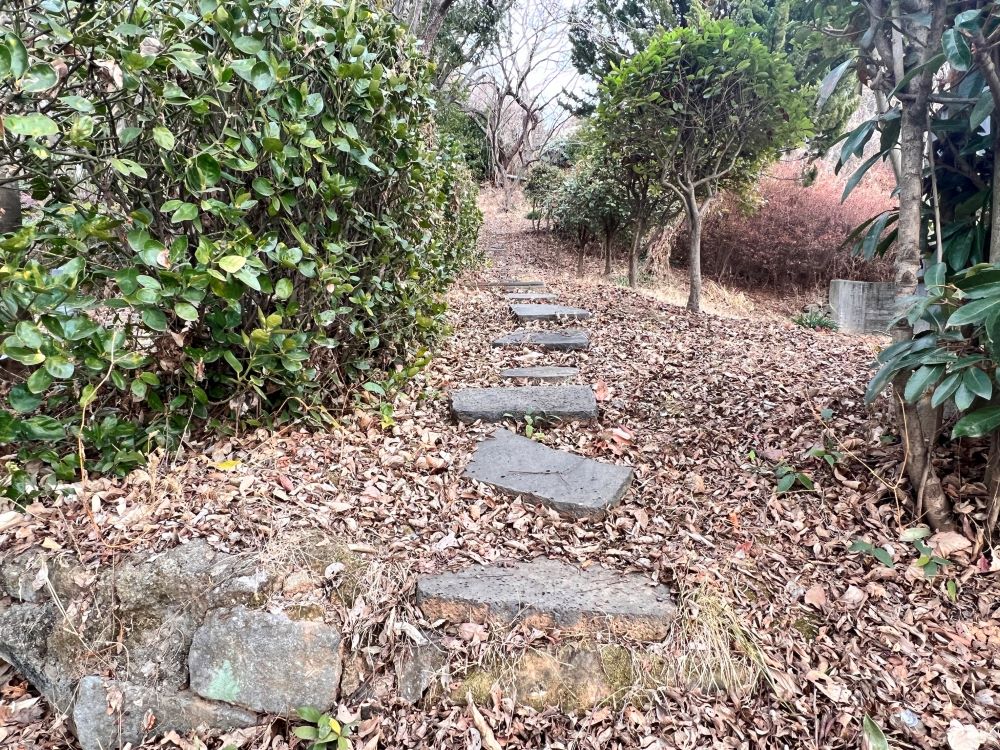 삼 일 길을 갈 때에(민 10:33)