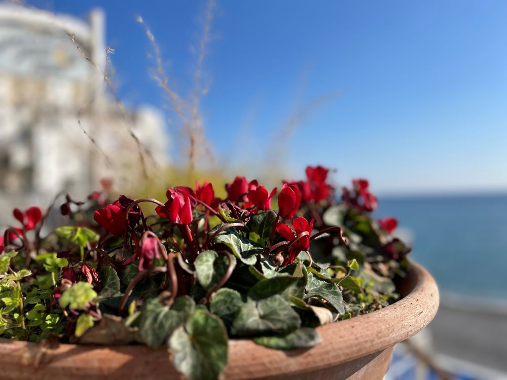 누가 아버지의 뜻대로 하였느냐? (마 21:31)