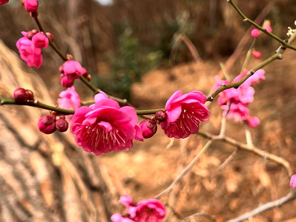 낭비 같으나 참된 섬김(마 26:10-13)