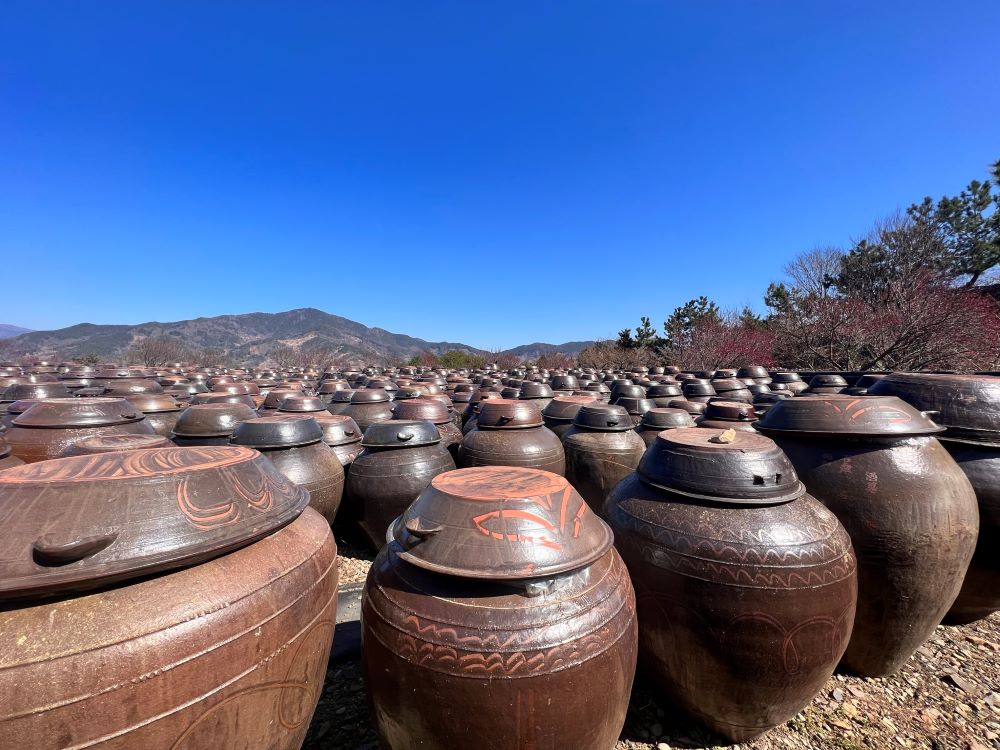 불쌍히 여김(마 18:33)
