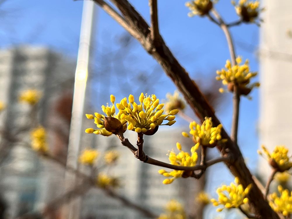 하나님이 맡겨주신 것(마 21:33)