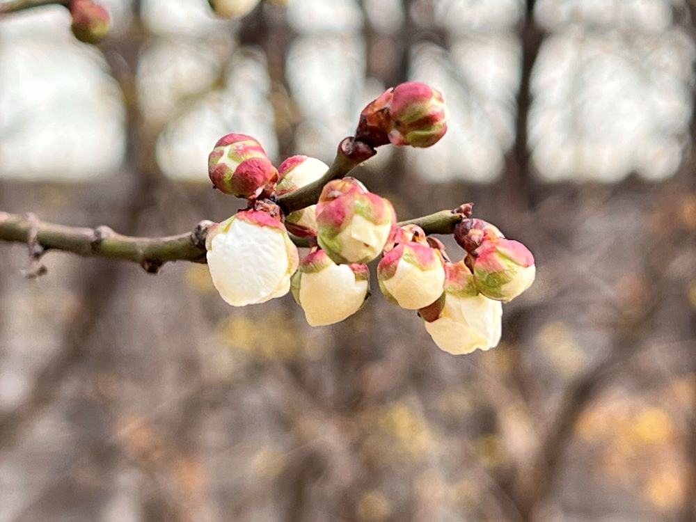 둘째도 그와 같으니(마 22:38-39)