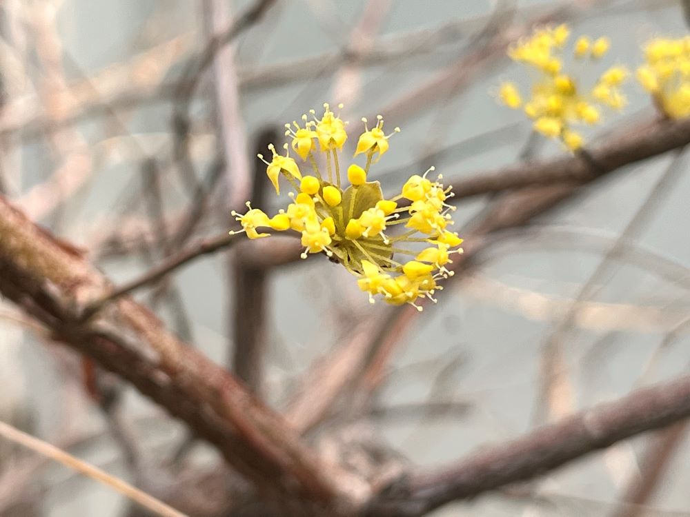 다 너희에게 돌아가리라(마 23:35)