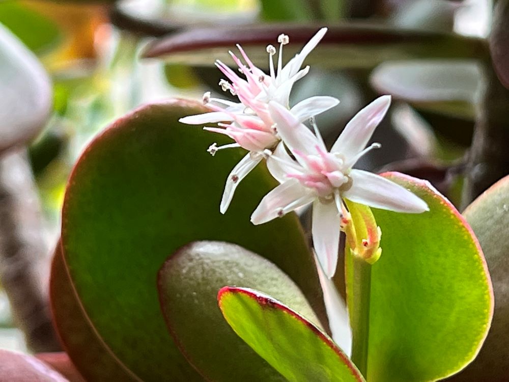 말만 하고 행하지 않는 사람들(마 23:3)