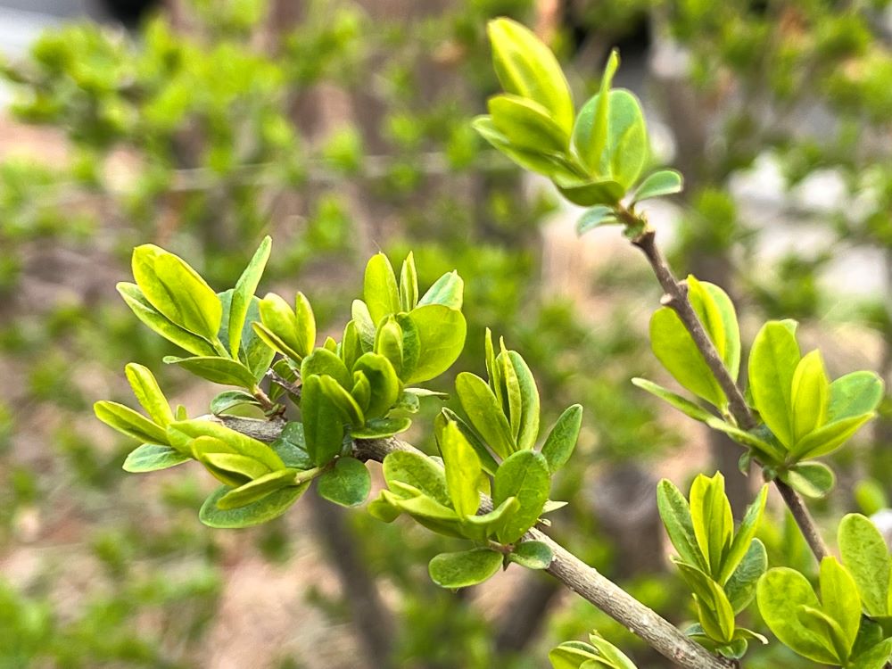 지극히 작은 자(마 25:40)