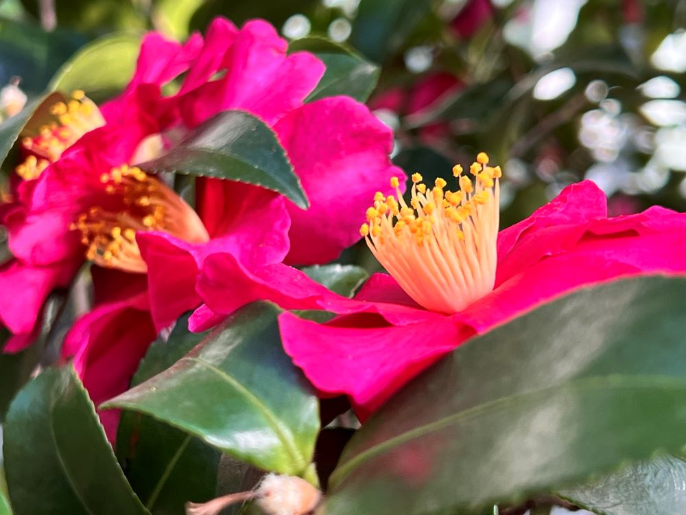 깨어 있으라 (마 24:42,44)