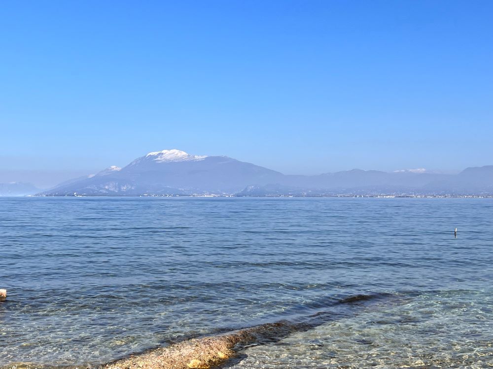 거인들 앞의 메뚜기(민 13:33)